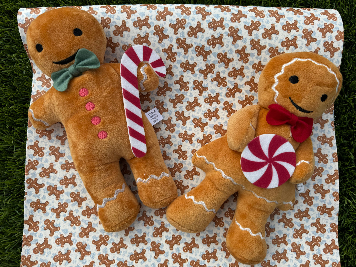 Gingerbread Dream
