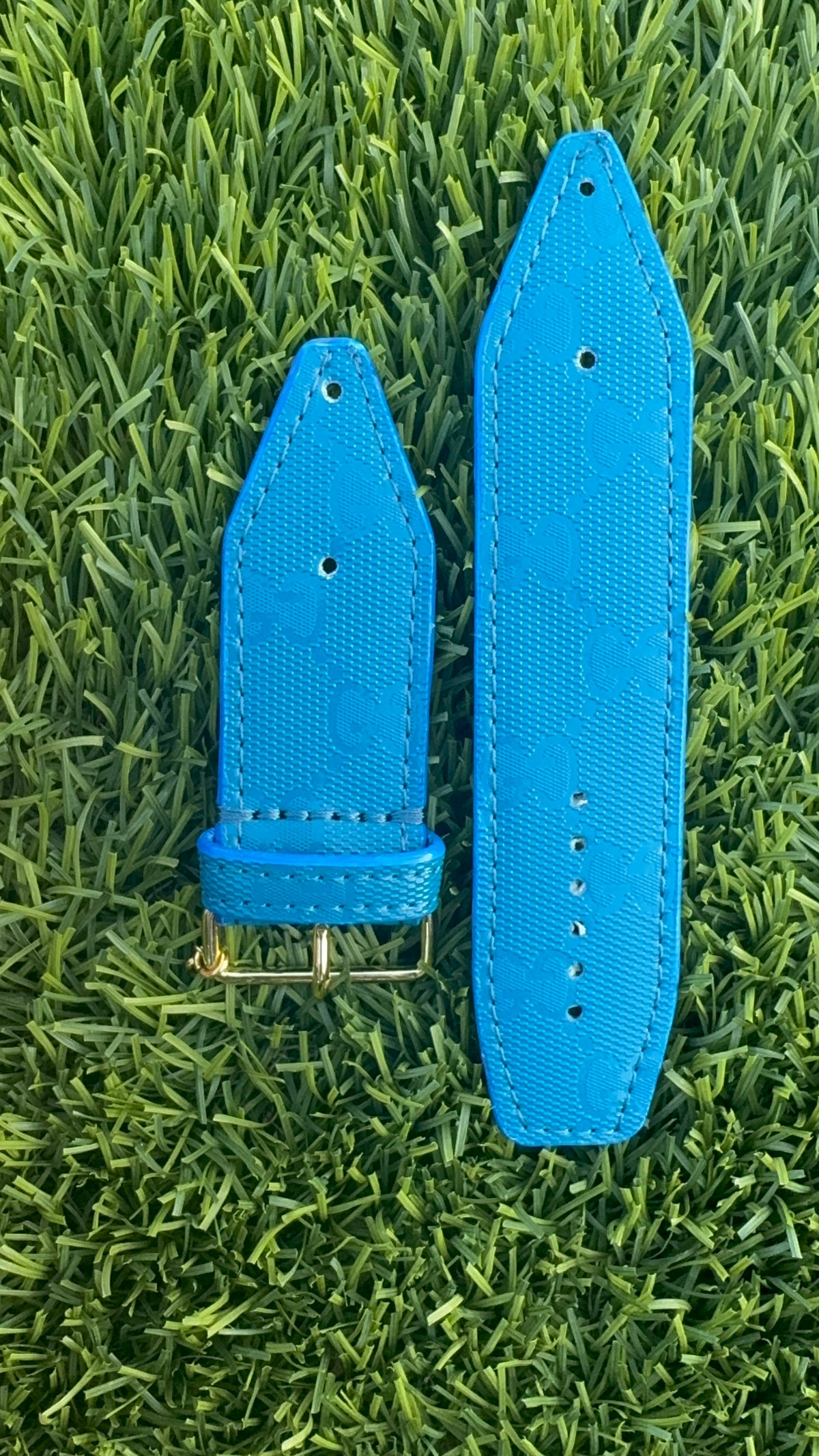 Authentic Upcycled Capri Blue GG Imprime