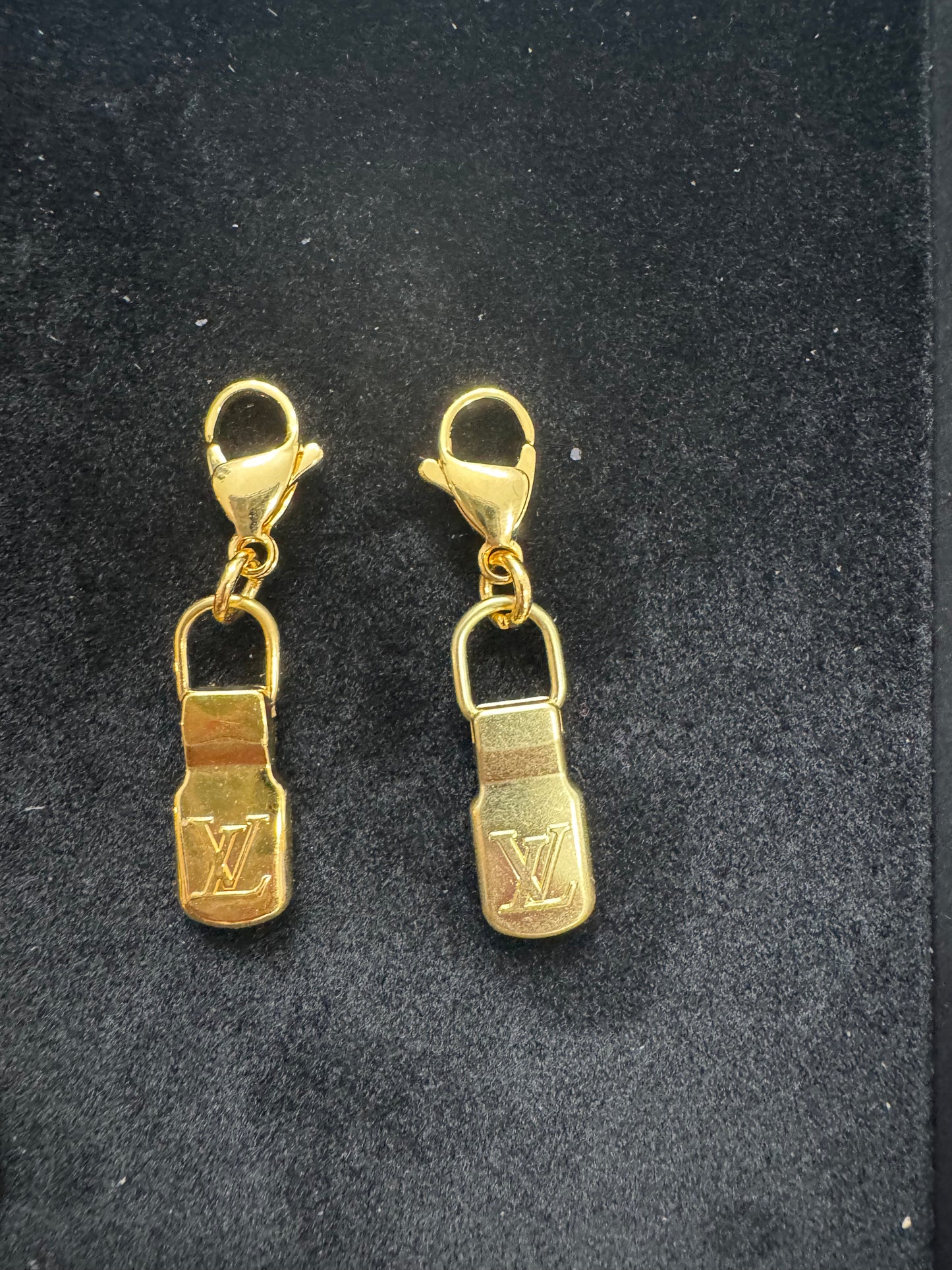 LV Medallion Zipper Pull Charms