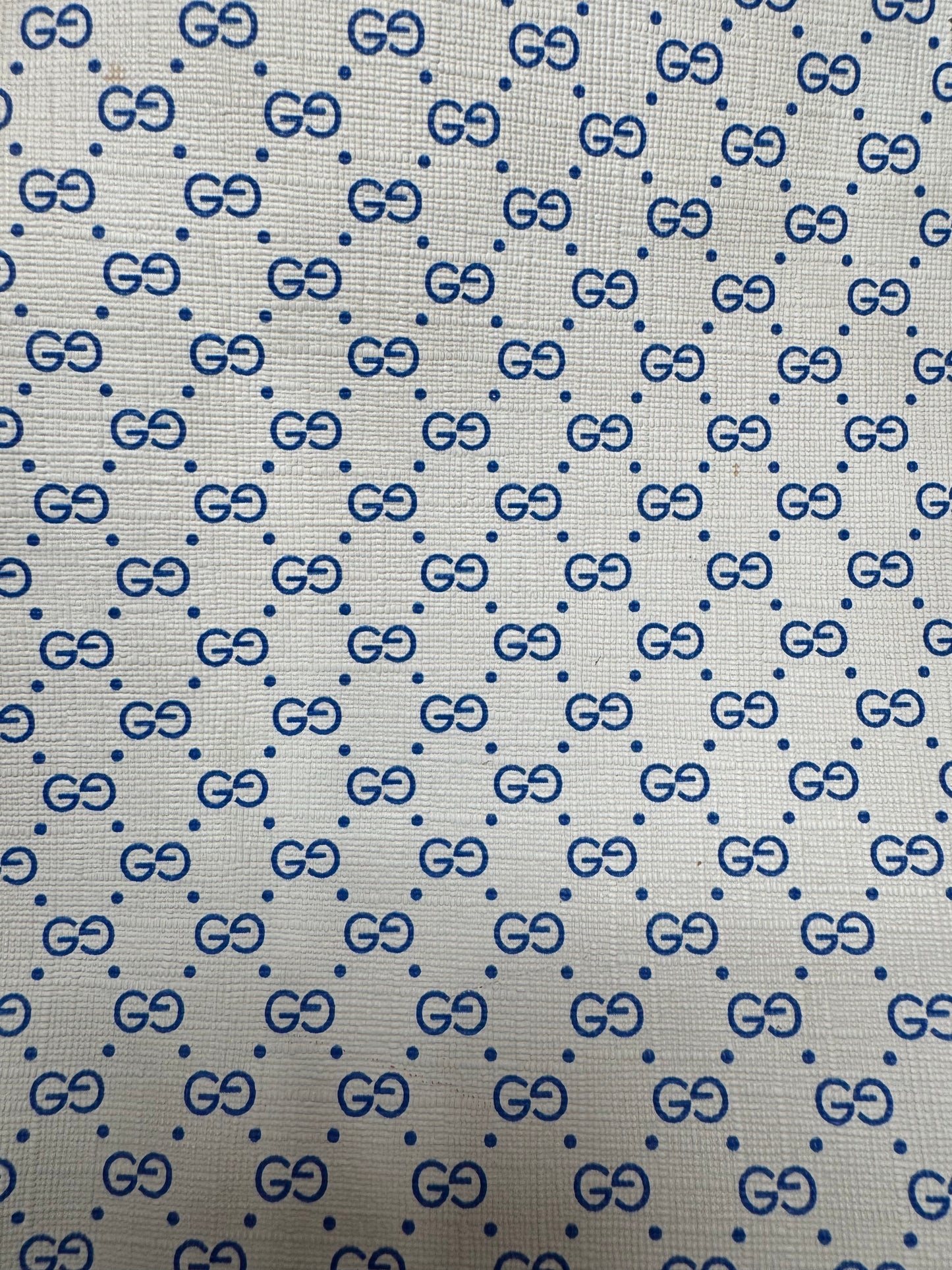 Authentic Upcycled Vintage White Blue Micro GG