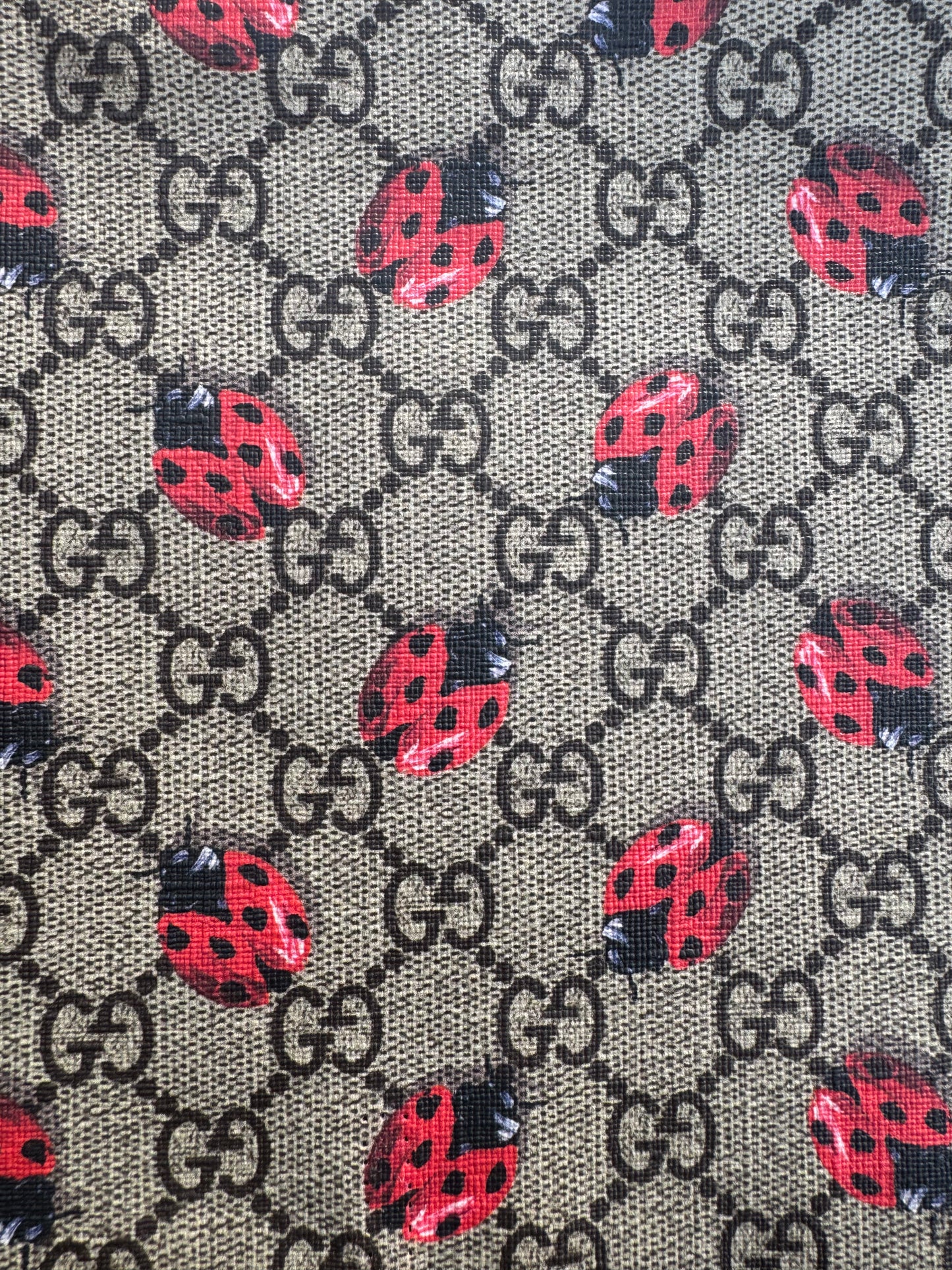 Authentic Upcycled GG Lady Bug