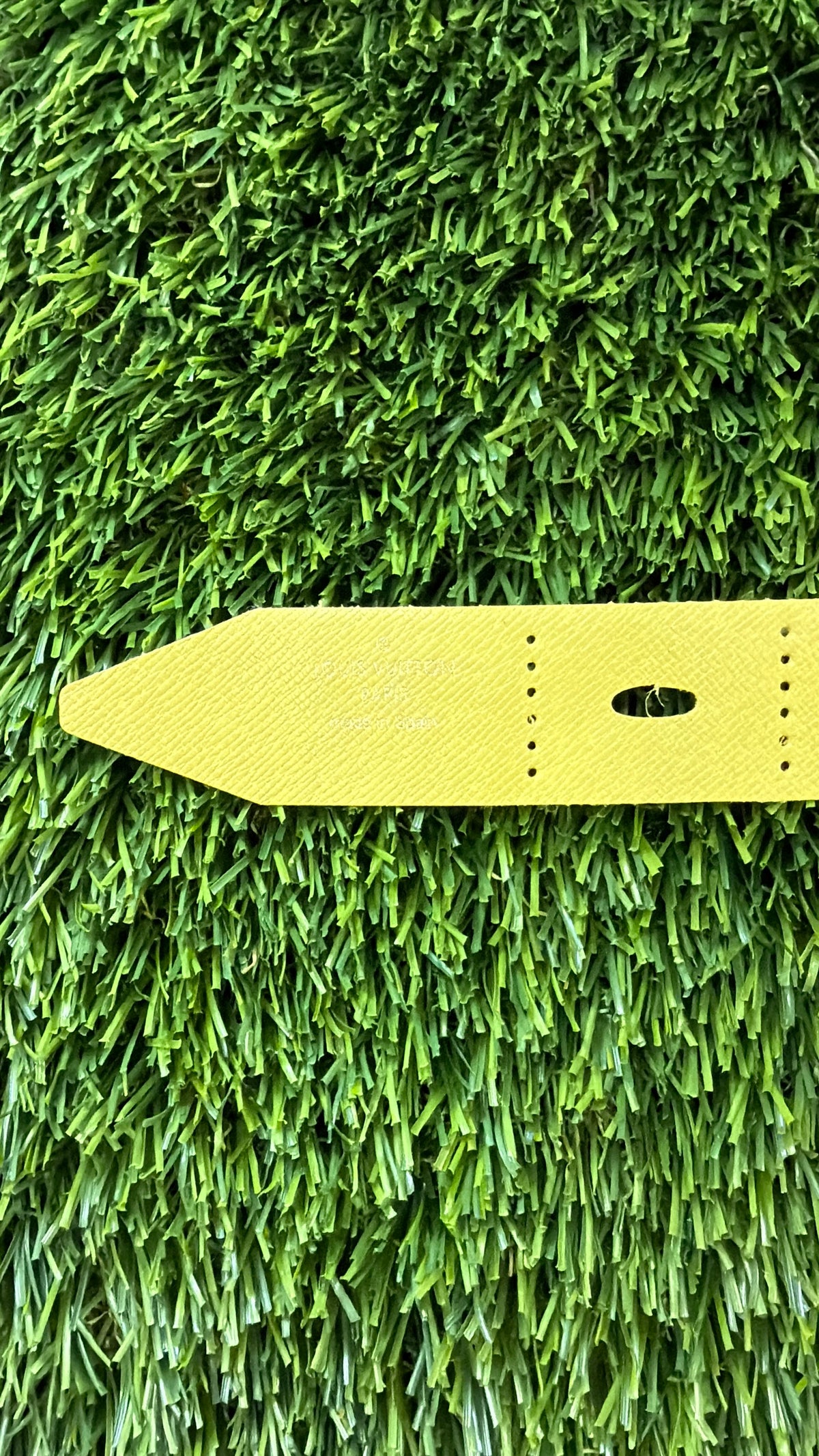 One of a Kind-LV Pistachio Heat Stamp- Select Your Size