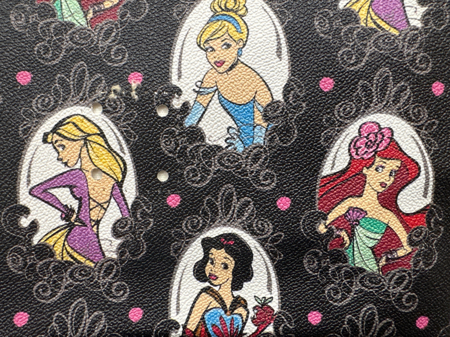 Dooney & Bourke Princess Fairytale Collection